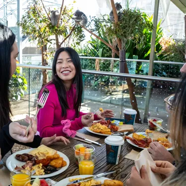 Dine in the trees with an expert guided tour & included entry into WILD LIFE Sydney Zoo!