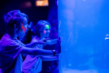 SLSA Night Creatures 6