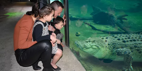 Family Activities for Kids - WILD LIFE Sydney