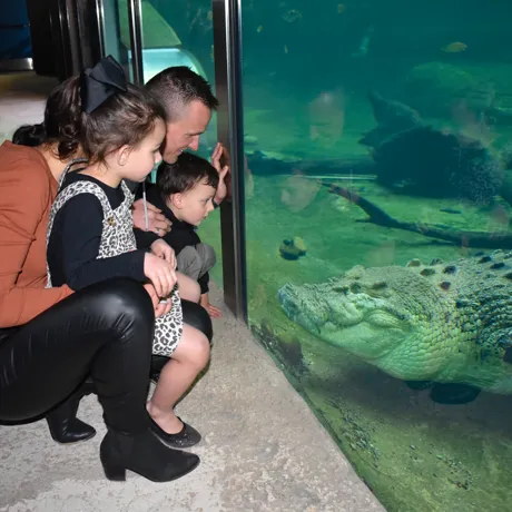 Family Activities for Kids - WILD LIFE Sydney