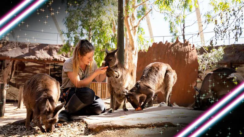 BF Frontpagehero 1920X1080px WLS