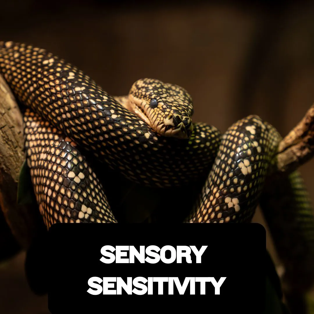 Sensory Sensitivity