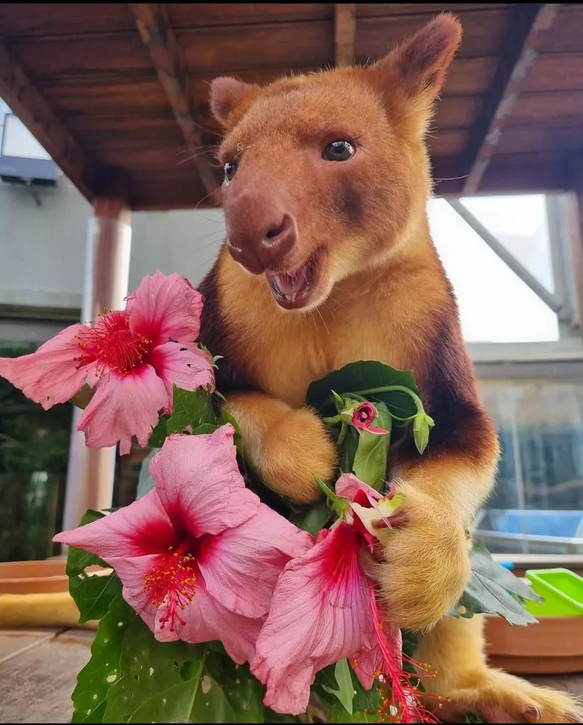 International Day of Friendship | WILD LIFE Sydney Zoo