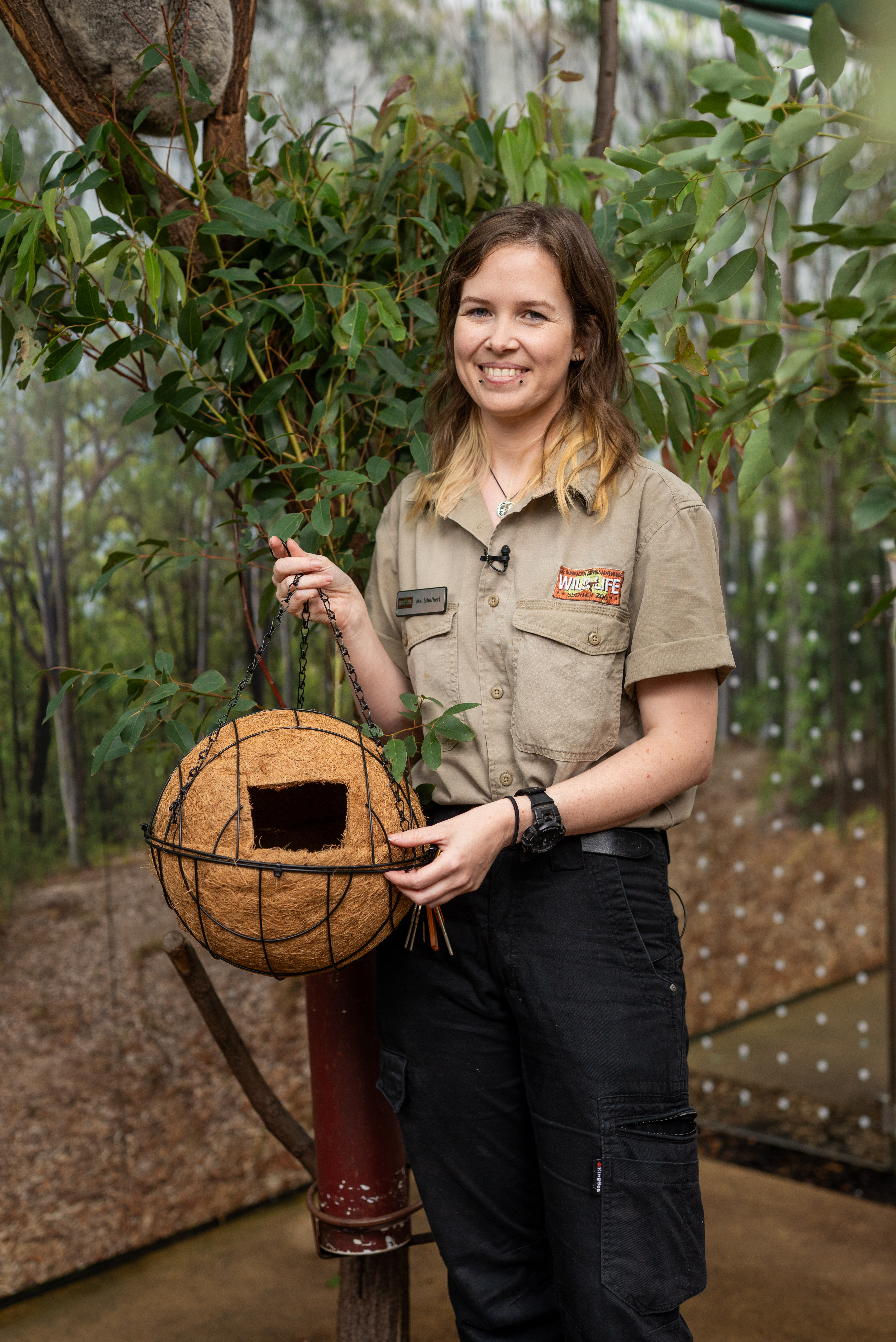 Keeper Melanie Brown With Completed Possum Drey WILD LIFE Sydney Zoo