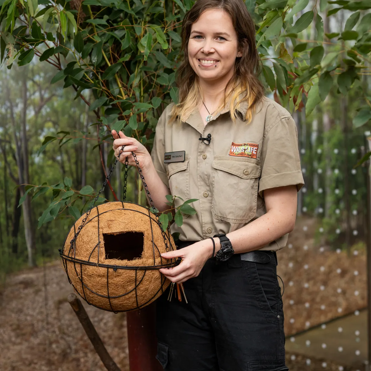 Drey Samuelson Install a Possum Drey! | WILD LIFE Sydney Zoo