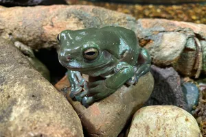 286641746 3172318469682149 451471066901218850 N (1)