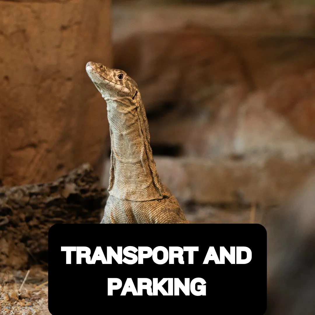 Transport And Parking