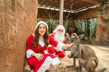 Mr&Mrsclausfeedkangarooswildlife