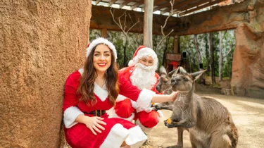 Mr&Mrsclausfeedkangarooswildlife