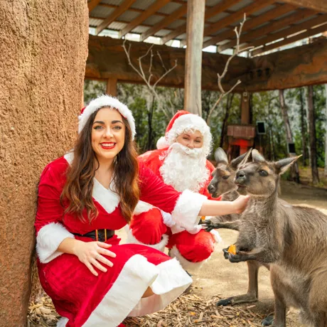 Mr&Mrsclausfeedkangarooswildlife