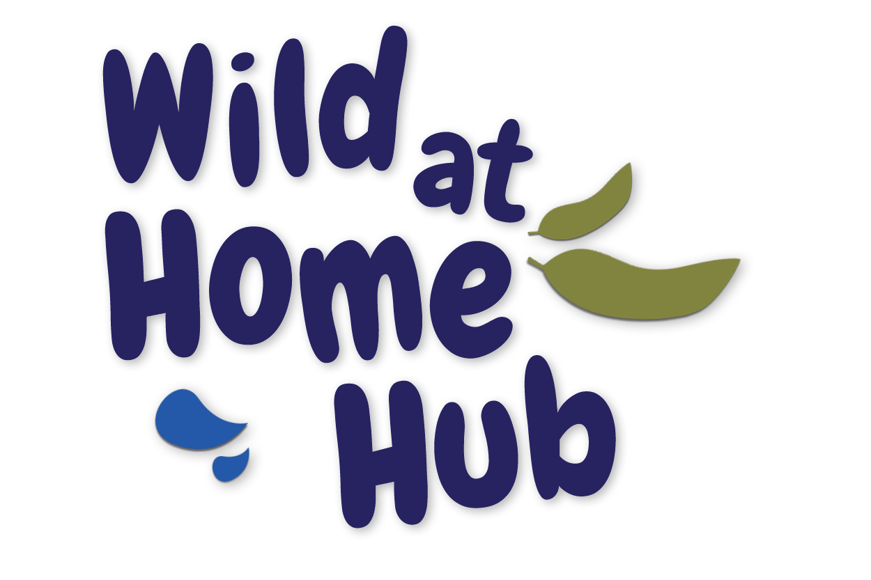 Wildathome Blue Logo
