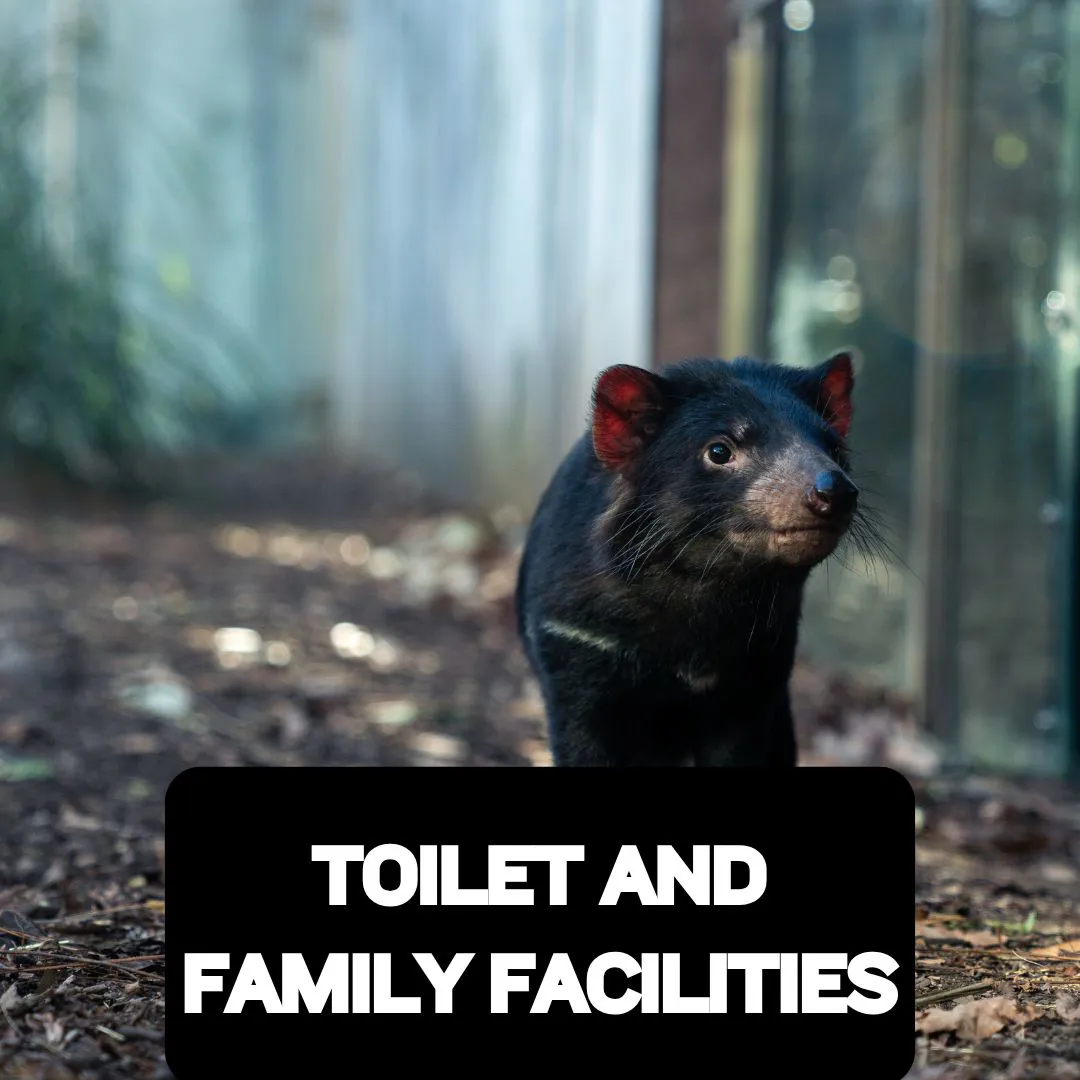Toilet And Family Facilities