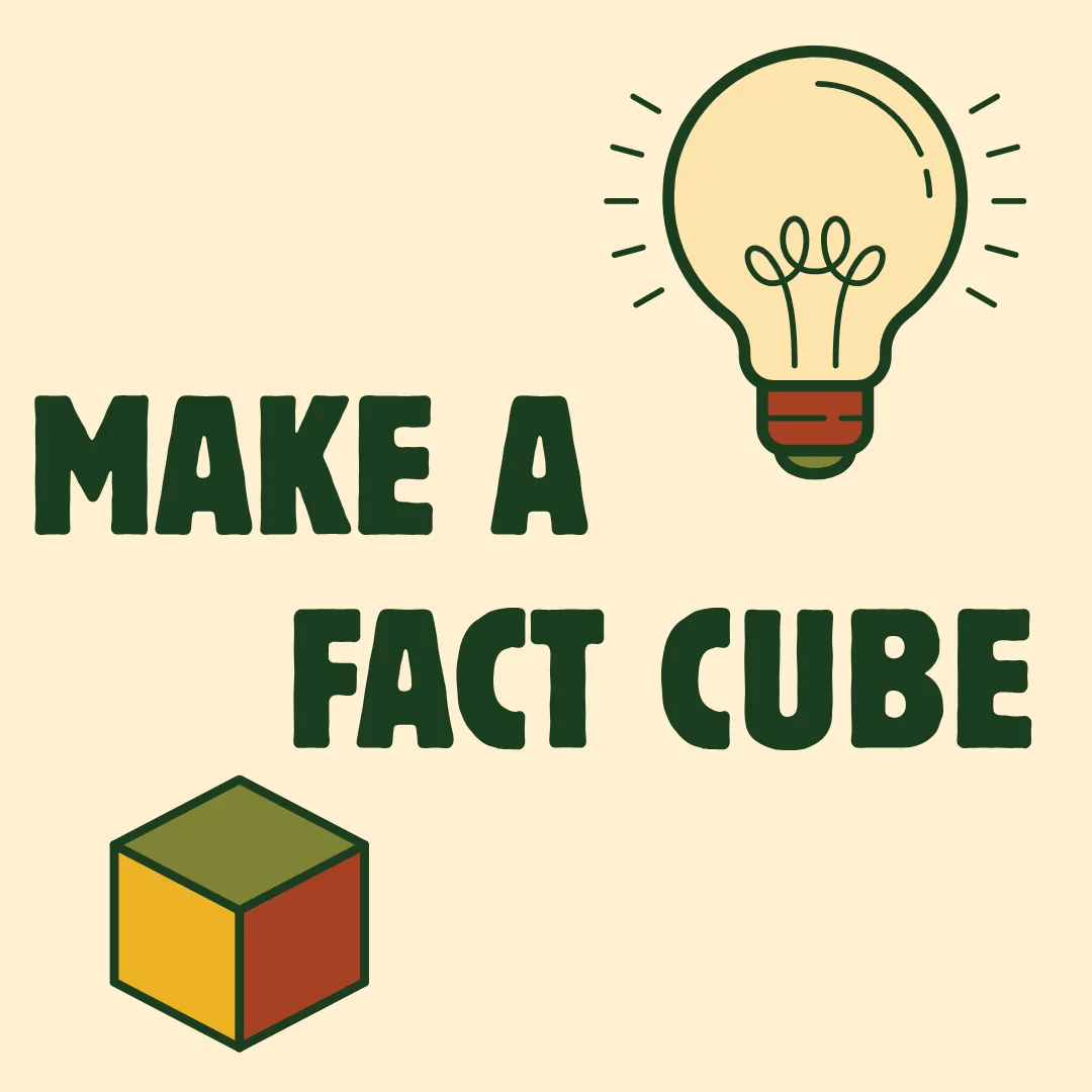 Make A Fact Cube