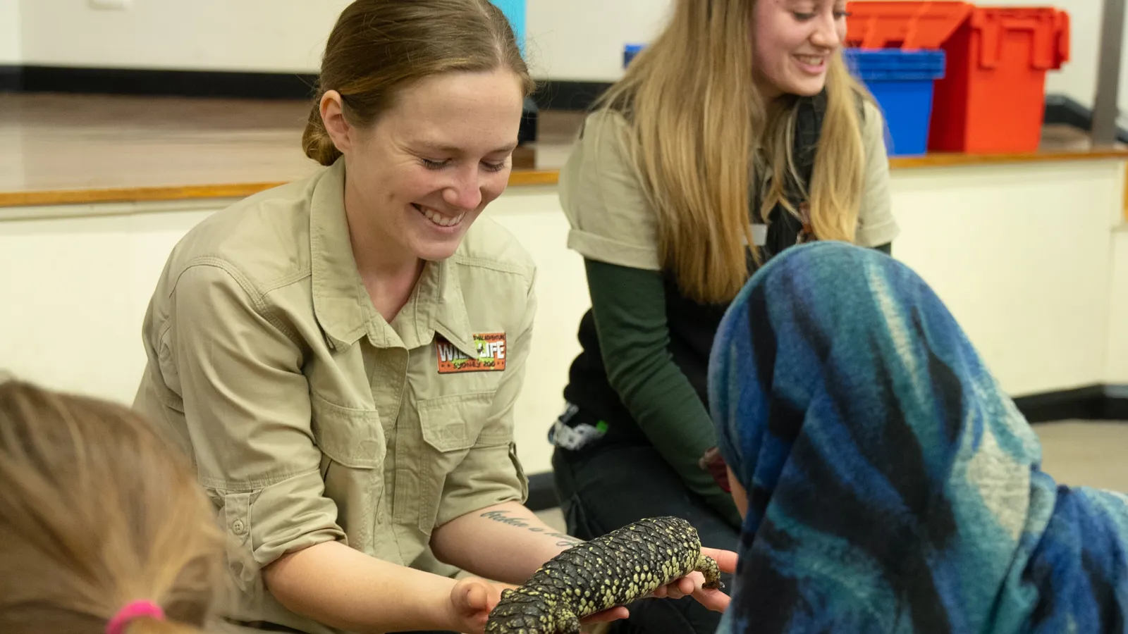 Lizard Sensory Sensory Lizard Encounter | WILD LIFE Sydney Zoo