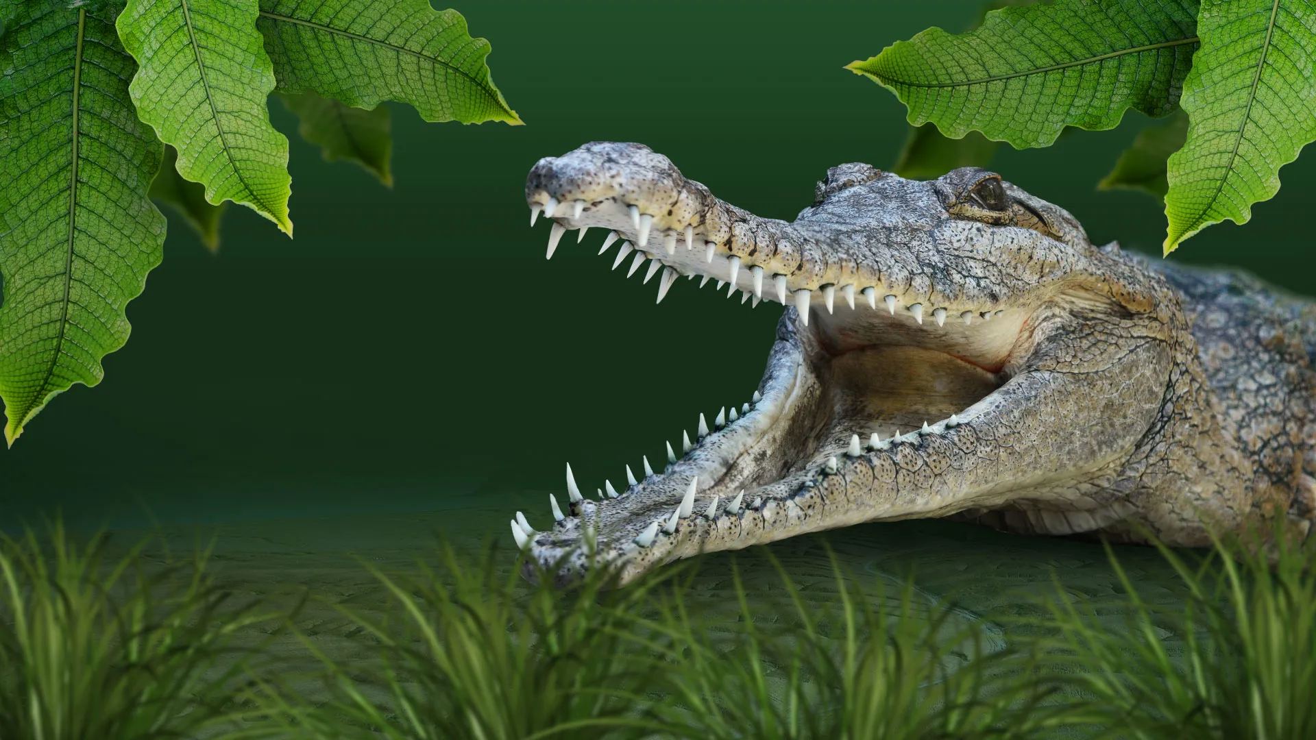 WLS Crocs Frontpagehero 1920X1080px