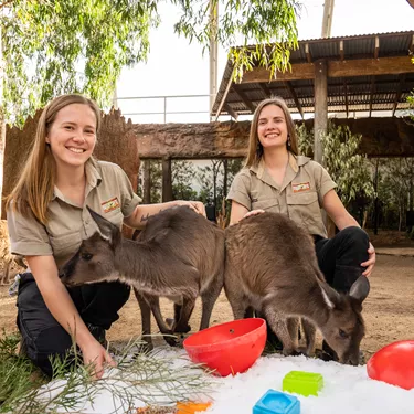 Keepers Emily Partridge And Mikaela Preston With Kangaroos WILD LIFE Sydney Zoo Welcomes Winter