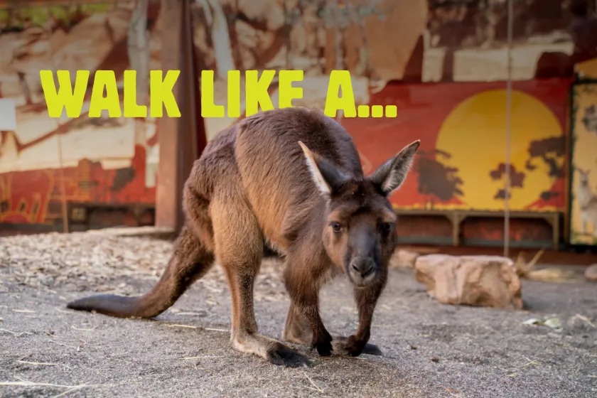 WALK LIKE A...