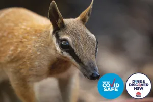 WLS D&D Web Article Tile 2