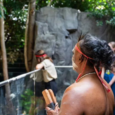 WLSZ Cassowary 10 Min