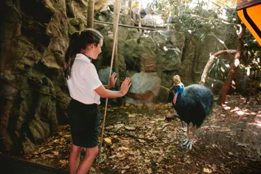 WLS School 57 Cassawary