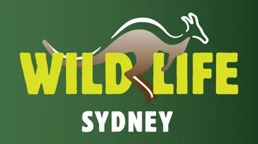 Untitled Design 2023 01 06T100202.991