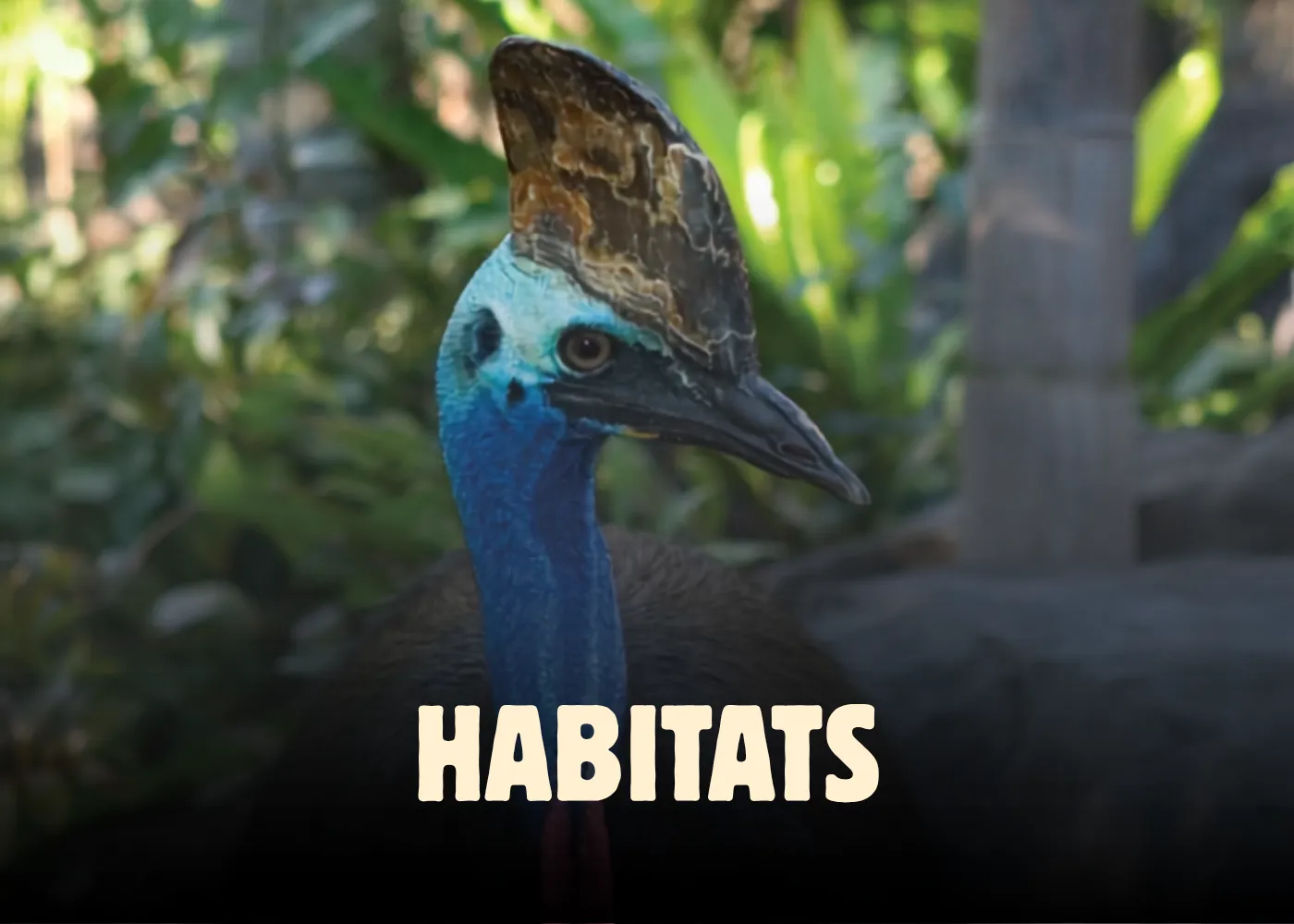 Habitats