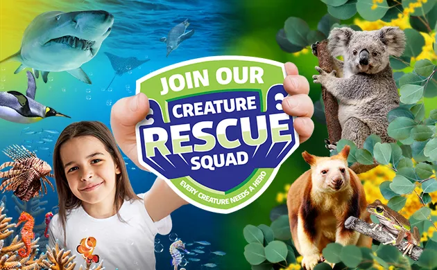 SLWL Rescuesquad Rectthin 630X390px