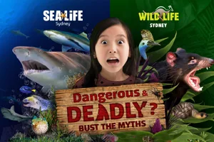 CLUSS Dnd Ticketswidertile 1000X600px