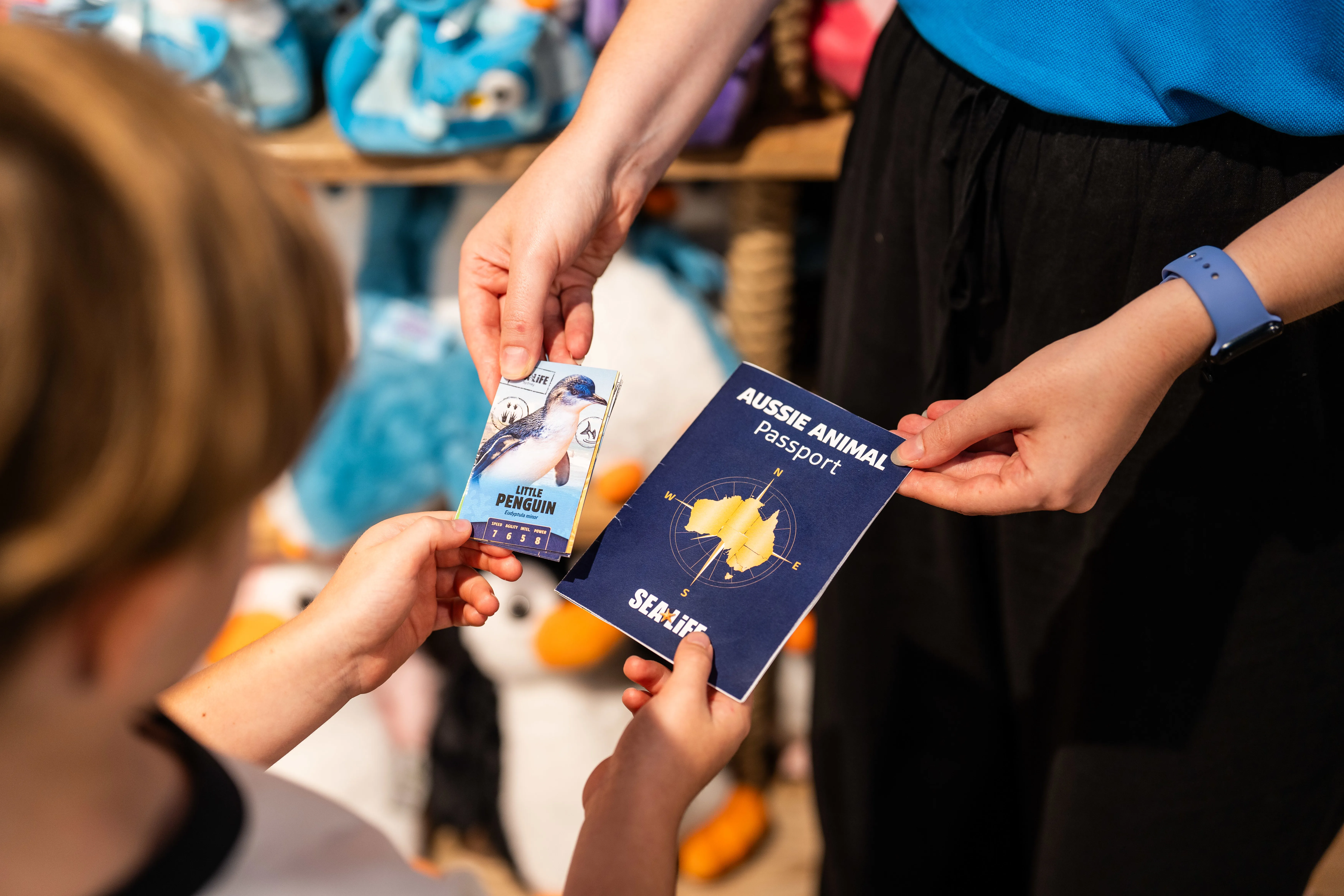 SLS WLS AAP Cards Passport (1)