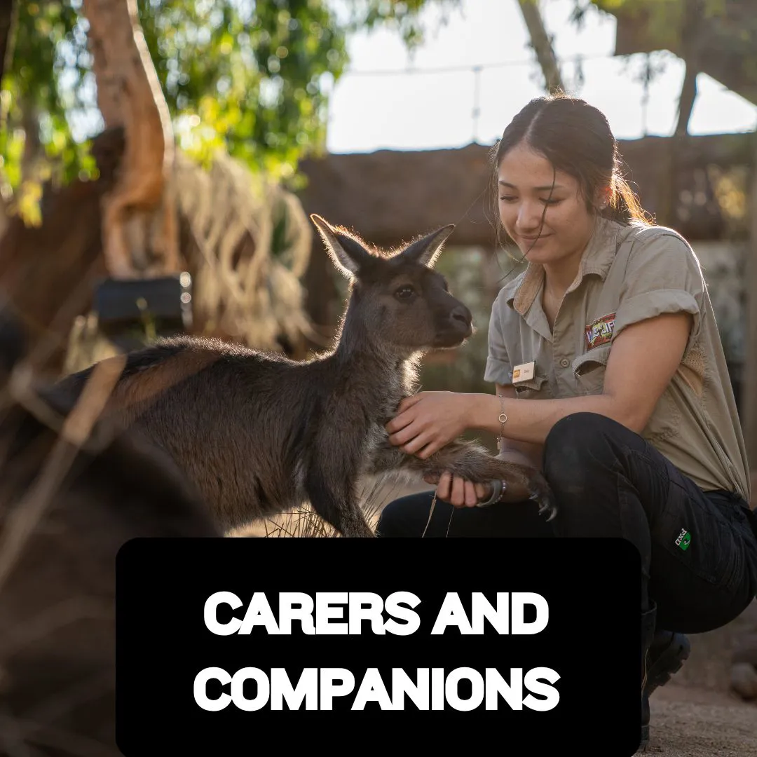Carers And Companions
