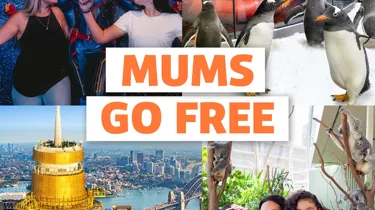 Mumgoesfreecluss 1200X1200px
