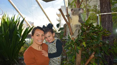 Mum And Daughter At Koala Rooftop