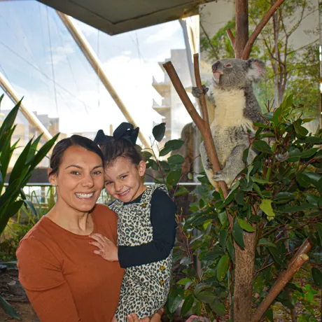 Mum And Daughter At Koala Rooftop