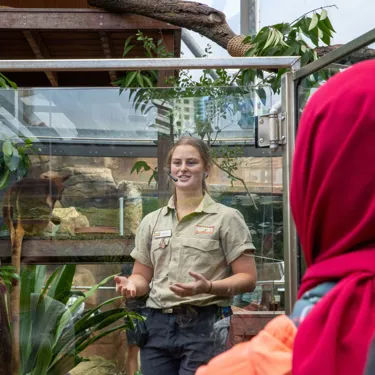 Untitled Design 2022 12 22T113234.966