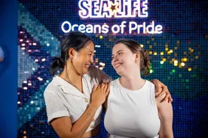 CLUSS Dnm Benholgate 1207