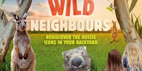 WLS Wildneighbours Square