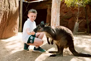 WLS School 68 Boy And Kangaroo