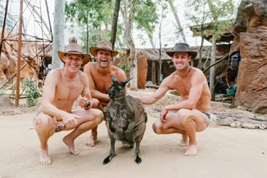 WLS The Bondi Rescue Lifeguards Meet Dot The Kangaroo For Some Back Scratches