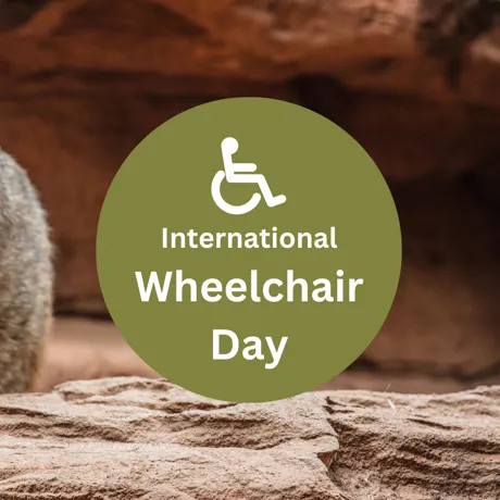 Wheelchair