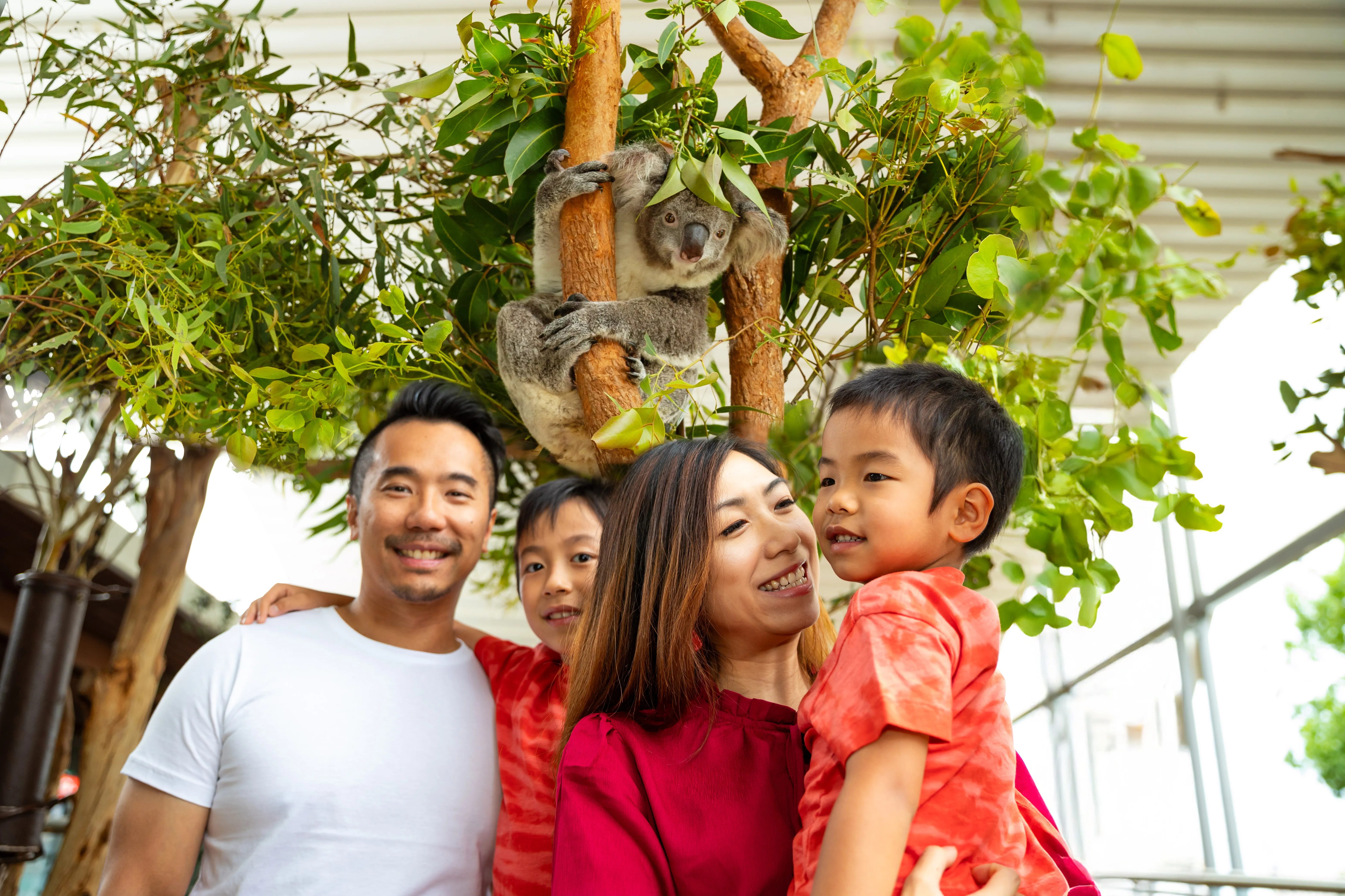 WLS Edit 9 EDITED (1)