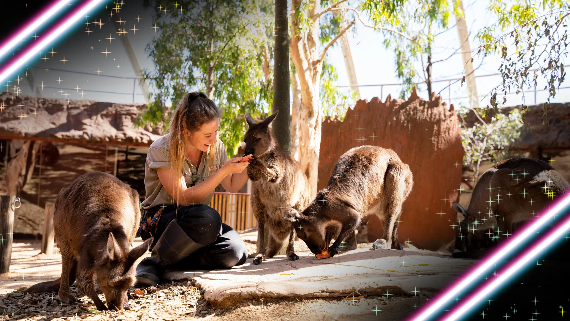 BF Frontpagehero 1920X1080px WLS (1)