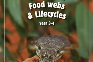 Food Webs & Lifecyles