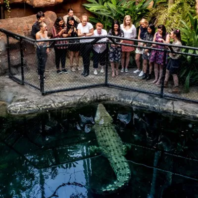 Wildlifetour 2