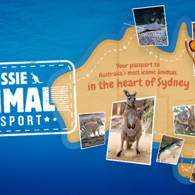 Auspassport Wls Hometile 720X413px