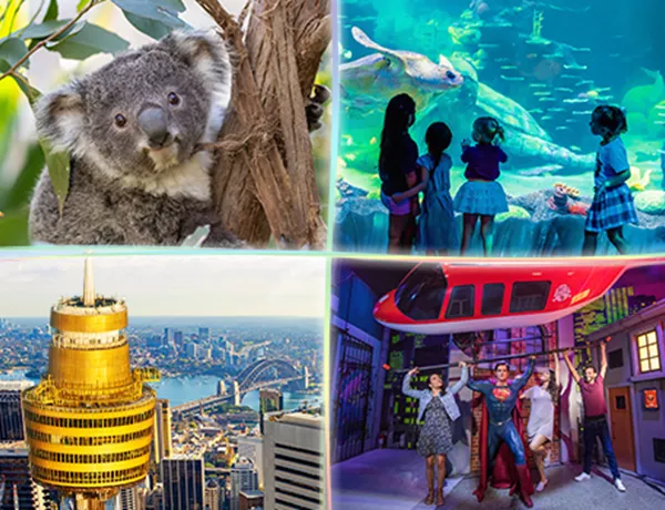WILD LIFE Sydney Zoo | Darling Harbour | Official Site