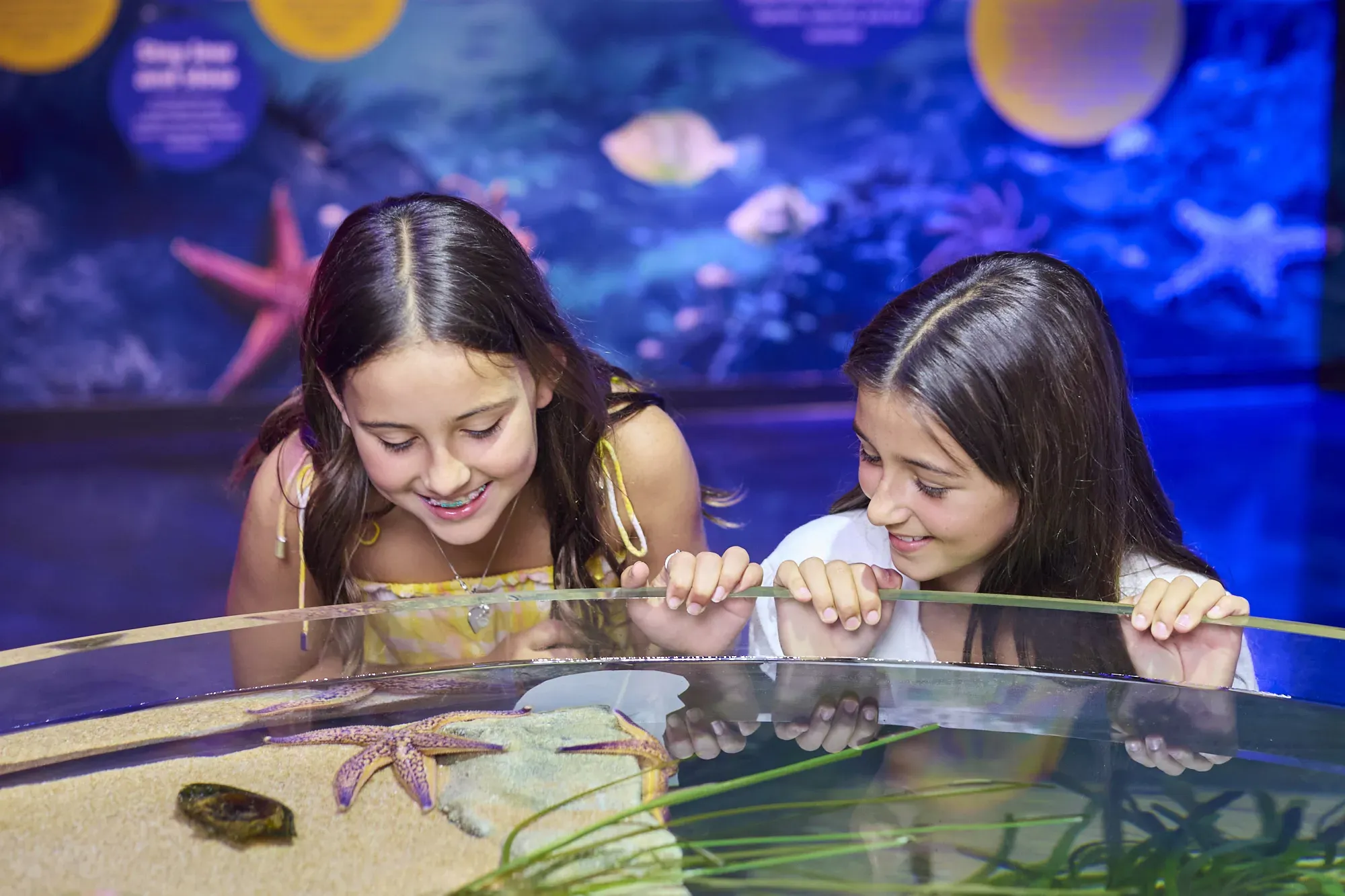 00006 Hero Slma Rockyshores2025 Use Global Exp Inperp Children Look At Rockpool Creatures