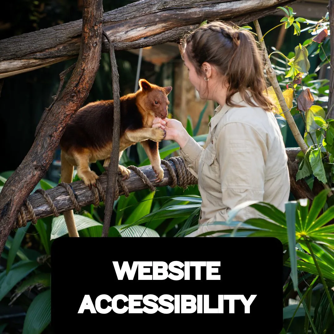 Website Accessibility