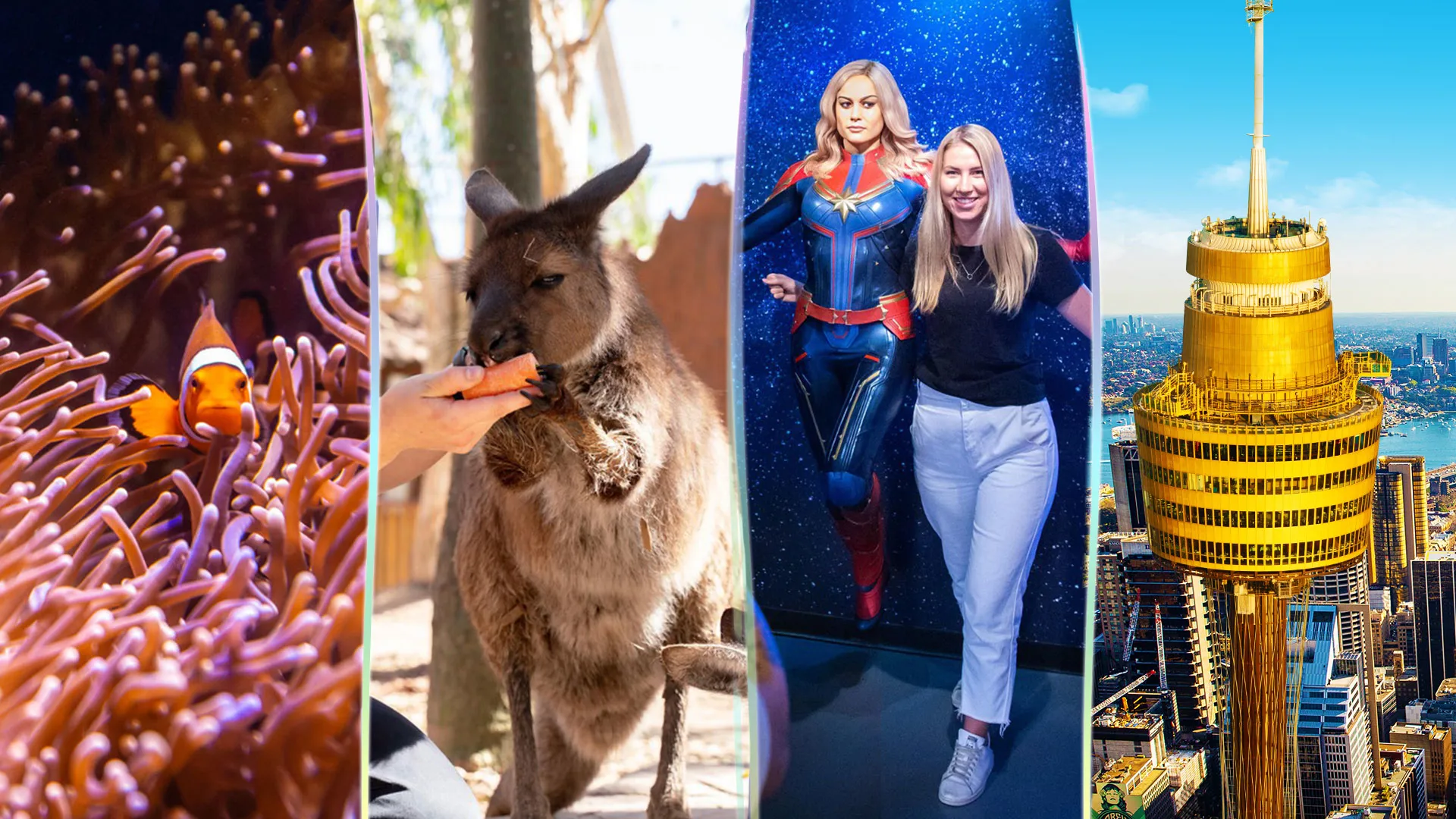 fish, kangaroo, captain marvel, sydney tower eye