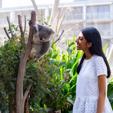people posing with koala on branch