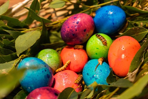 colourful_eggs_with_worms
